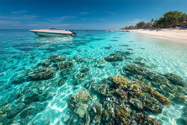 Snorkeling